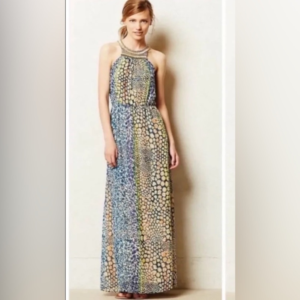 HD in Paris embroidered maxi dress ANTHROPOLOGIE